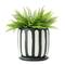 Hello Honey® 7.5" Black & White Hand-Painted Terra Cotta Planter with Saucer Set